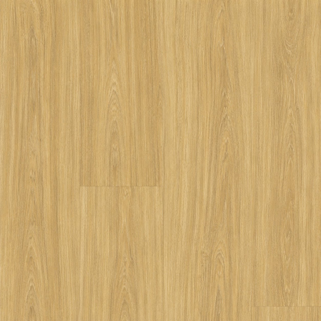 Wood Beech