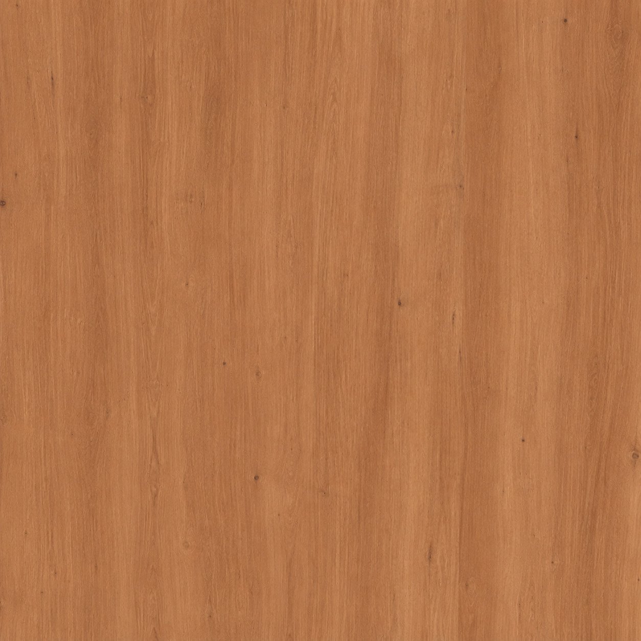 HONEY MAPLE - LVT - Wood & Stone Element flooring