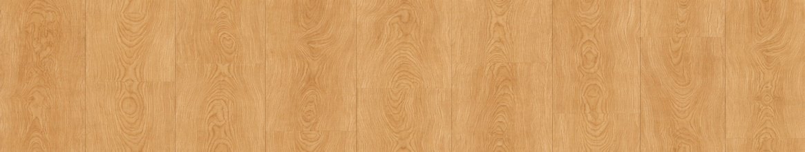CARAMEL specification details