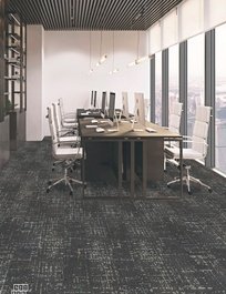 INTERLACE PP